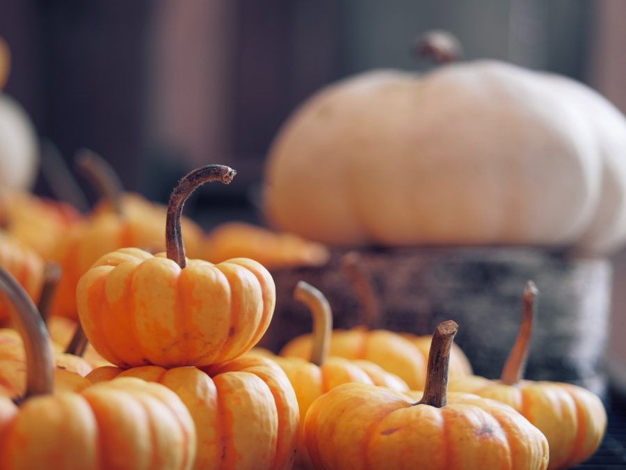 Make+The+Most+of+Your+Pumpkin