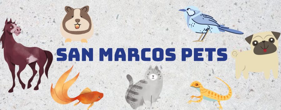 San Marcos Pet Spotlight