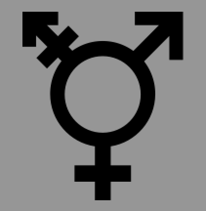 Corte de Bienvenida con inclusión de género