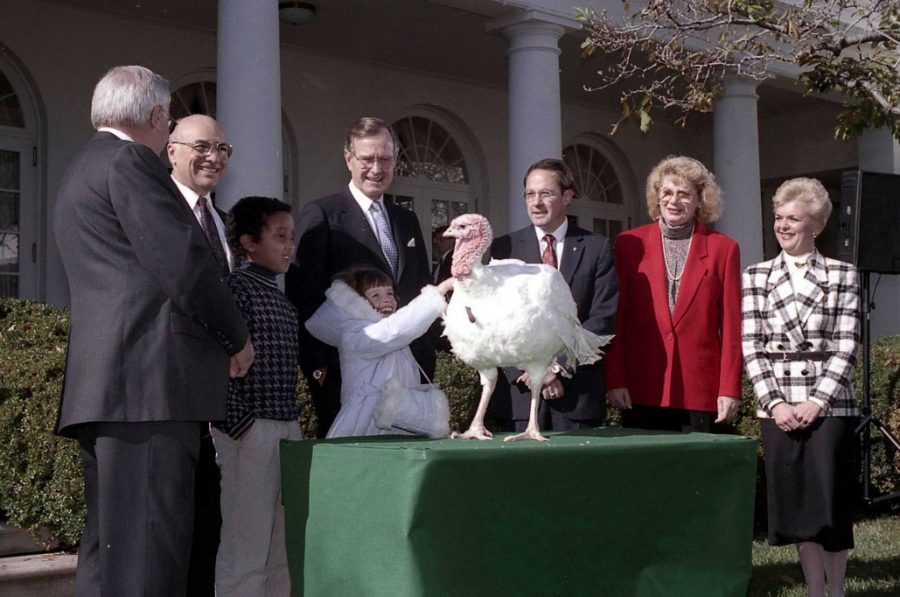 President George W. Bush pardons a turkey in the Rose Garden on November 26, 2002.
George W. Bush Presidential Library/NARA https://www.whitehousehistory.org/galleries/thanksgiving-turkey