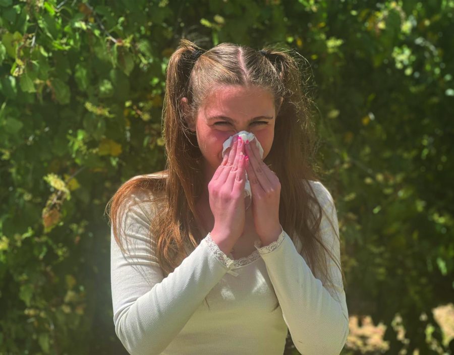 Evelina Erickson :
Seasonal Allergies are NOT a joke!