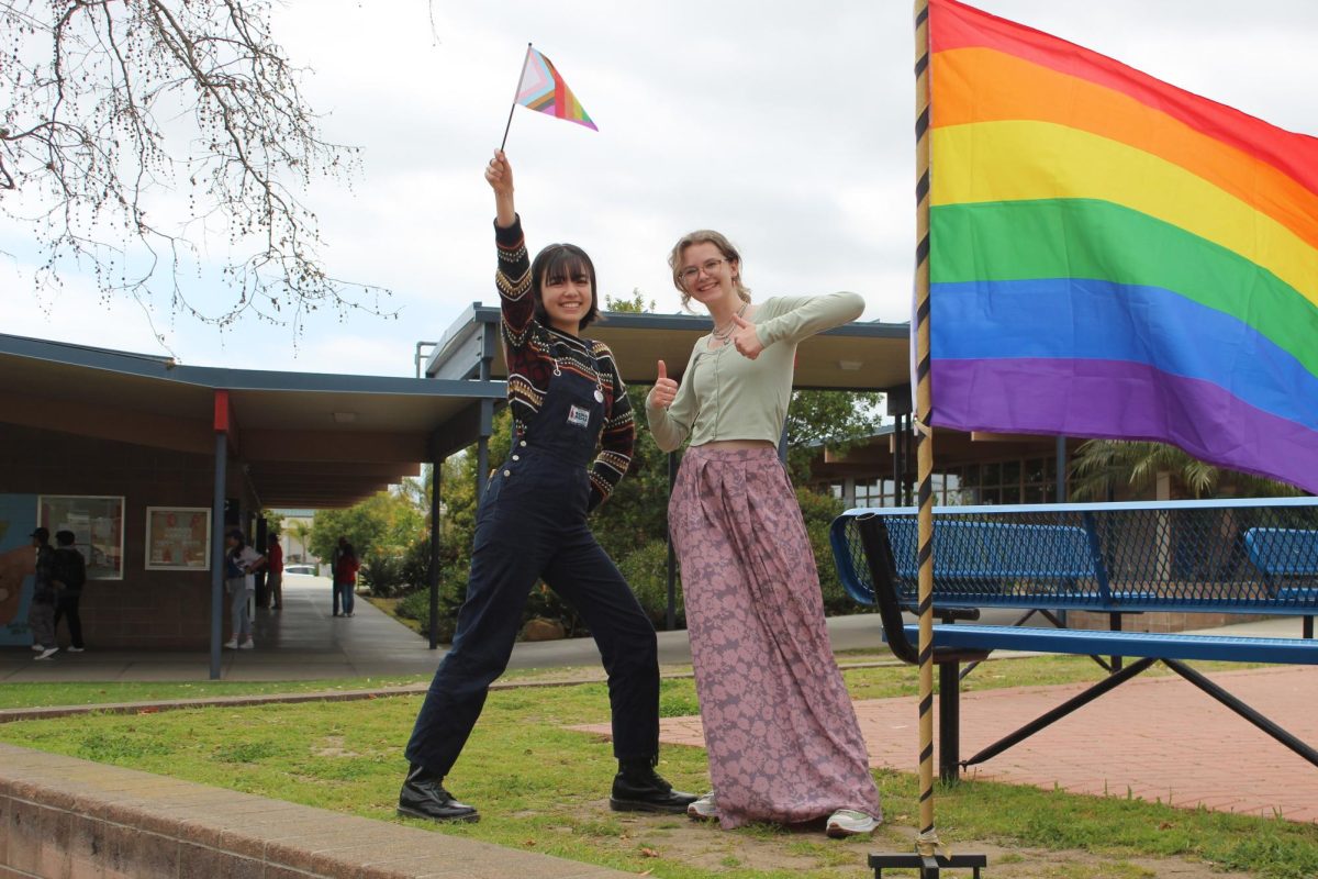 Students celebrate at SM Pride Festival