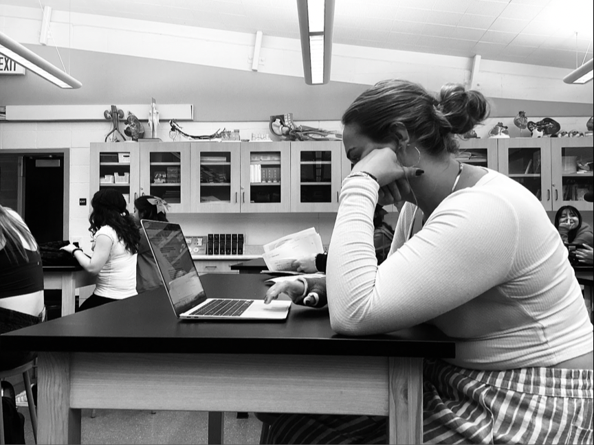 Senior, Marina Brown, studying in Royal Time.