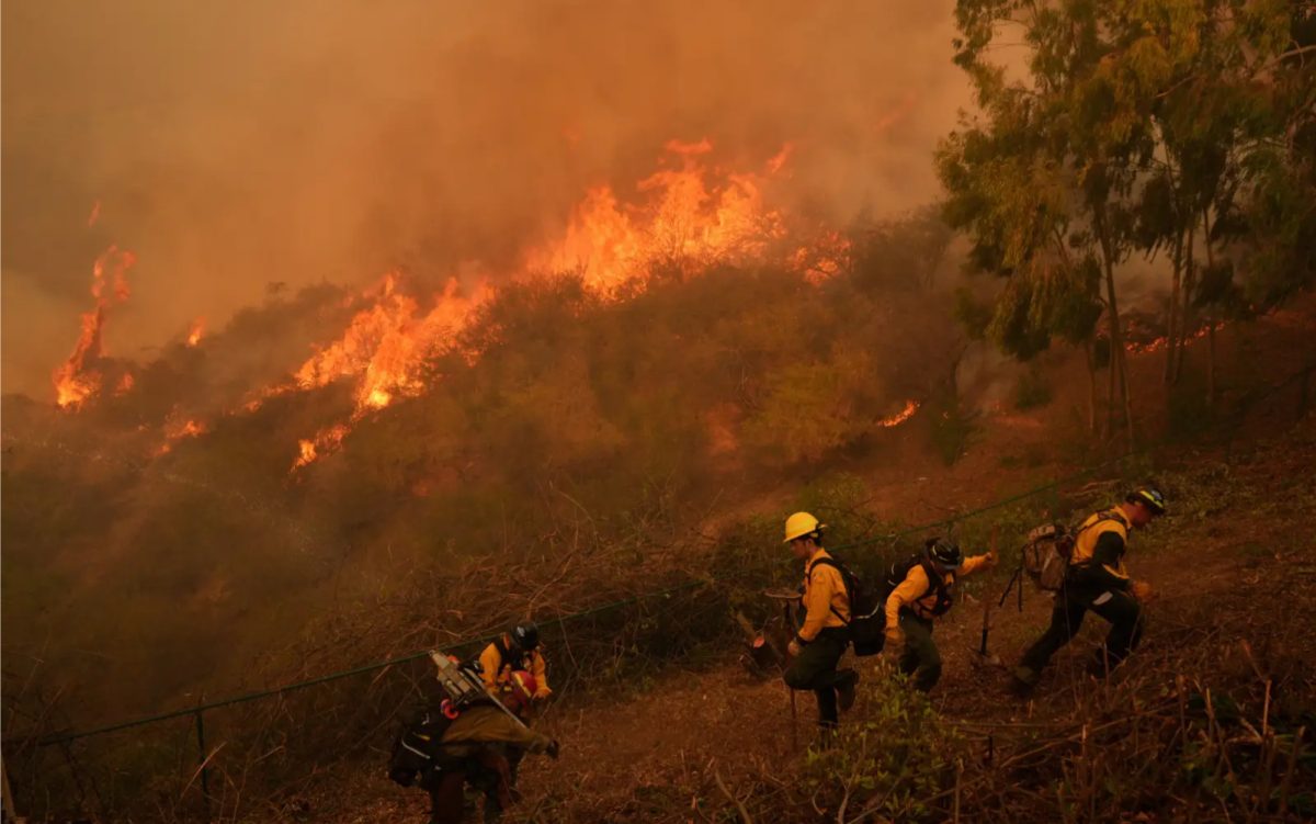 Firefighters battle brush fires in Los Angeles County
