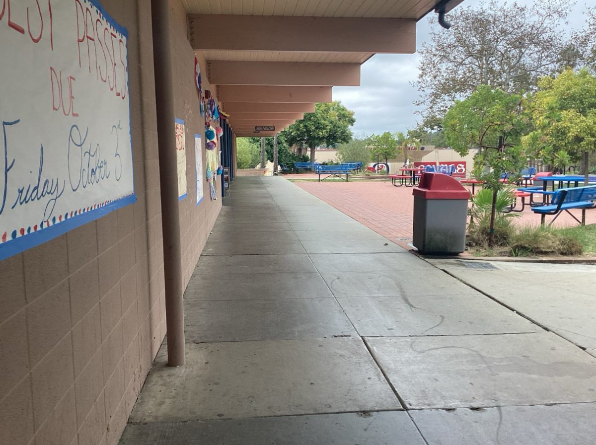 Hallway Sweeps are so Sweet